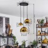 Koyoto  Pendant Light glass 15 cm, 20 cm, 25 cm gold, clear, 3-light sources