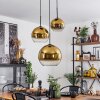 Koyoto  Pendant Light glass 20 cm, 25 cm, 30cm gold, clear, 3-light sources