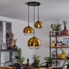 Koyoto  Pendant Light glass 20 cm, 25 cm, 30cm gold, clear, 3-light sources