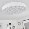 Agodim Ceiling Light LED white, 1-light source, Remote control, Colour changer