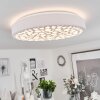 Agodim Ceiling Light LED white, 1-light source, Remote control, Colour changer