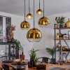 Koyoto  Pendant Light glass 15 cm, 20 cm, 25 cm, 30cm gold, clear, 5-light sources