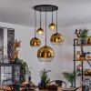 Koyoto  Pendant Light glass 15 cm, 20 cm, 25 cm, 30cm gold, clear, 5-light sources