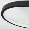 Tagsdorff Ceiling Light LED black, white, 1-light source