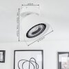 Especiosa Ceiling Light white, 1-light source