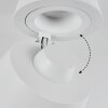 Especiosa Ceiling Light white, 1-light source