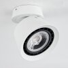Especiosa Ceiling Light white, 1-light source