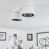 Especiosa Ceiling Light white, 2-light sources
