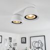 Especiosa Ceiling Light white, 2-light sources
