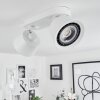 Especiosa Ceiling Light white, 2-light sources