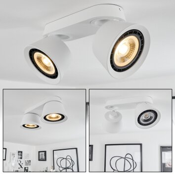 Especiosa Ceiling Light white, 2-light sources
