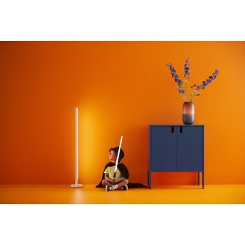 Philips WiZ Table lamp LED white, 1-light source, Colour changer