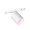 Philips Hue Perifo spot LED white, 1-light source, Colour changer