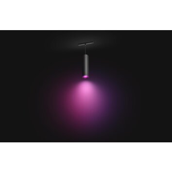 Philips Hue Perifo pendulum LED black, 1-light source, Colour changer