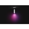 Philips Hue Perifo pendulum LED white, 1-light source, Colour changer