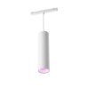 Philips Hue Perifo pendulum LED white, 1-light source, Colour changer