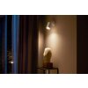 Philips Hue Fugato Ceiling Light LED white, 1-light source, Colour changer