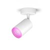 Philips Hue Fugato Ceiling Light LED white, 1-light source, Colour changer