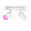 Philips Hue Fugato Ceiling Light LED white, 2-light sources, Colour changer