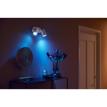 Philips Hue Fugato Ceiling Light LED white, 2-light sources, Colour changer