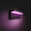 Philips Hue Nyro Outdoor Wall Light LED black, 1-light source, Colour changer