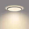 Philips Ozziet Ceiling Light LED black, white, 1-light source