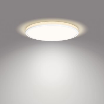 Philips Ozziet Ceiling Light LED white, 1-light source