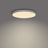 Philips Ozziet Ceiling Light LED black, white, 1-light source