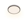 Philips Ozziet Ceiling Light LED black, white, 1-light source