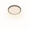 Philips Ozziet Ceiling Light LED black, white, 1-light source