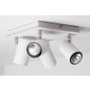 Trio 8024 ceiling light white, 4-light sources