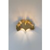 Holländer GINGKO Wall Light gold, 2-light sources
