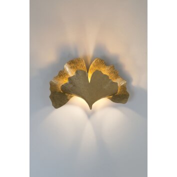 Holländer GINGKO Wall Light gold, 2-light sources
