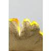 Holländer GINGKO Table lamp gold, 1-light source