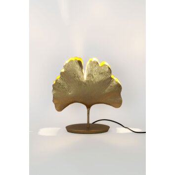 Holländer GINGKO Table lamp gold, 1-light source