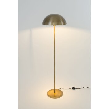 Holländer FUNGO Floor Lamp gold, 1-light source