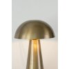 Holländer FUNGO Table lamp gold, 1-light source
