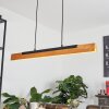 Teira Pendant Light LED Ecru, black, 1-light source
