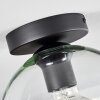 Koyoto  Ceiling Light glass 20 cm clear, 1-light source