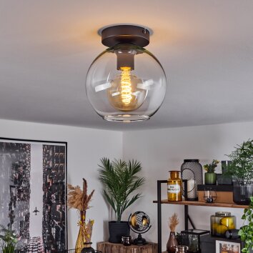 Koyoto  Ceiling Light glass 20 cm clear, 1-light source