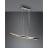 Trio Blaze Pendant Light LED aluminium, 1-light source