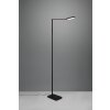 Trio Pavia Floor Lamp LED black, 1-light source