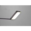 Trio Pavia Floor Lamp LED black, 1-light source