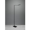 Trio Pavia Floor Lamp LED black, 1-light source