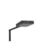 Trio Pavia Floor Lamp LED black, 1-light source