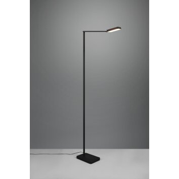 Trio Pavia Floor Lamp LED black, 1-light source