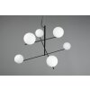 Trio Pure Pendant Light black, 6-light sources