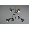 Trio Roxie Pendant Light brass, black, 6-light sources