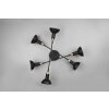 Trio Roxie Ceiling Light black, 6-light sources