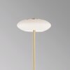 Paul Neuhaus Q-ETIENNE Floor Lamp LED brass, 1-light source, Remote control